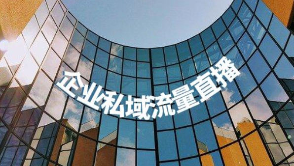 反復在說的私域流量到底是什么？一家企業(yè)應該如何搭建運營私域流量池？